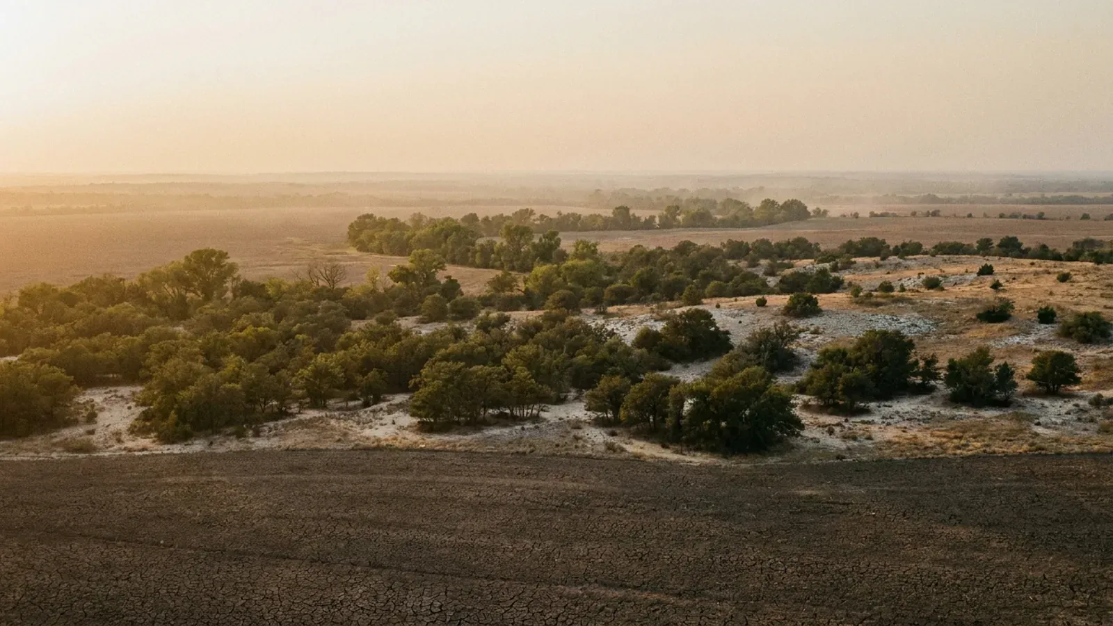 Open rolling Blackland Prairie cropland grading into a post oak belt of the Eastern Cross Timbers, with a pecan-lined creek.